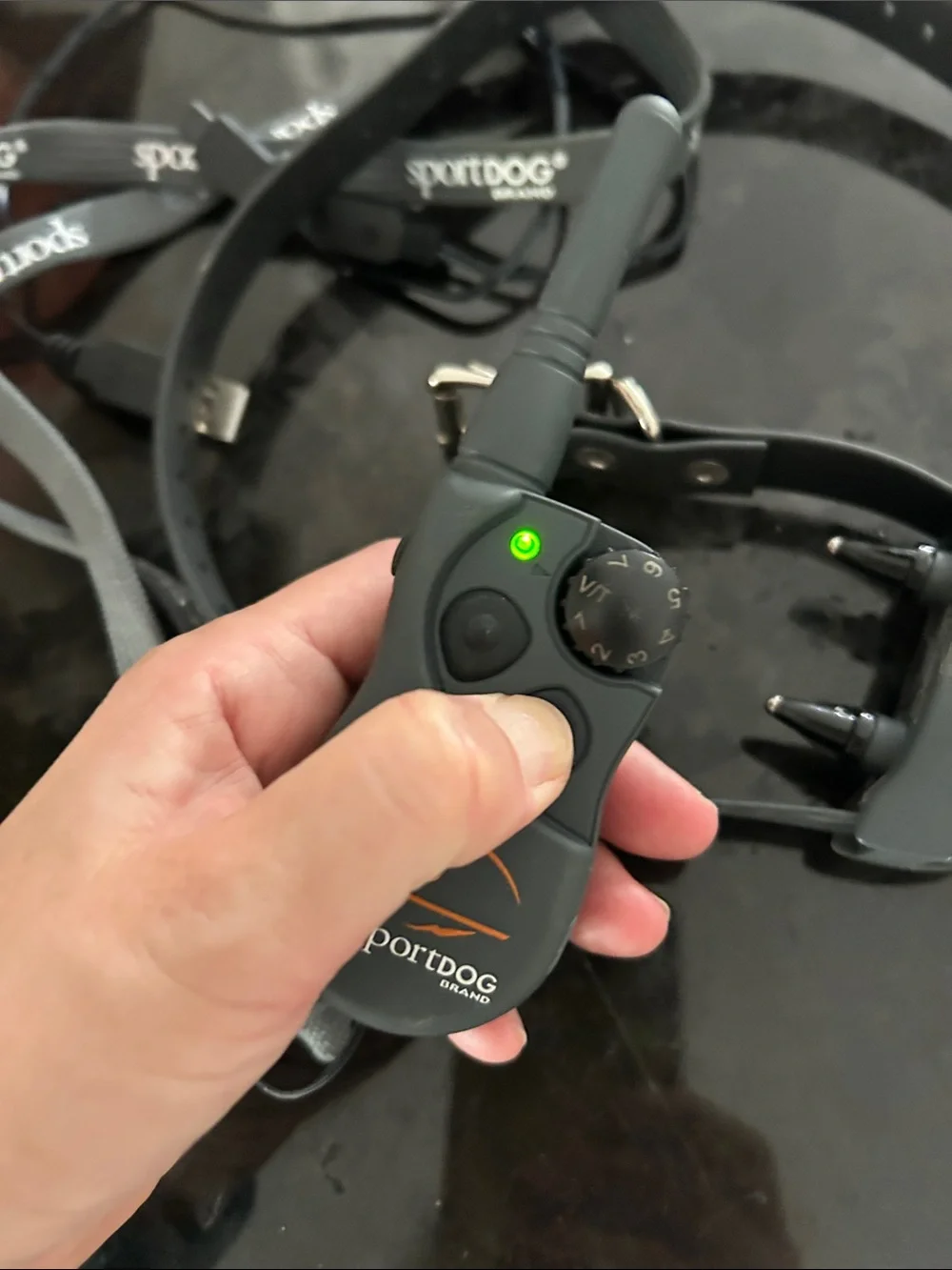 425X Remote Trainer Collar - Black and Gray sport dog